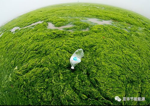 環保企業注意了 企業投資項目事中事后監管辦法 自2018年2月4日起施行